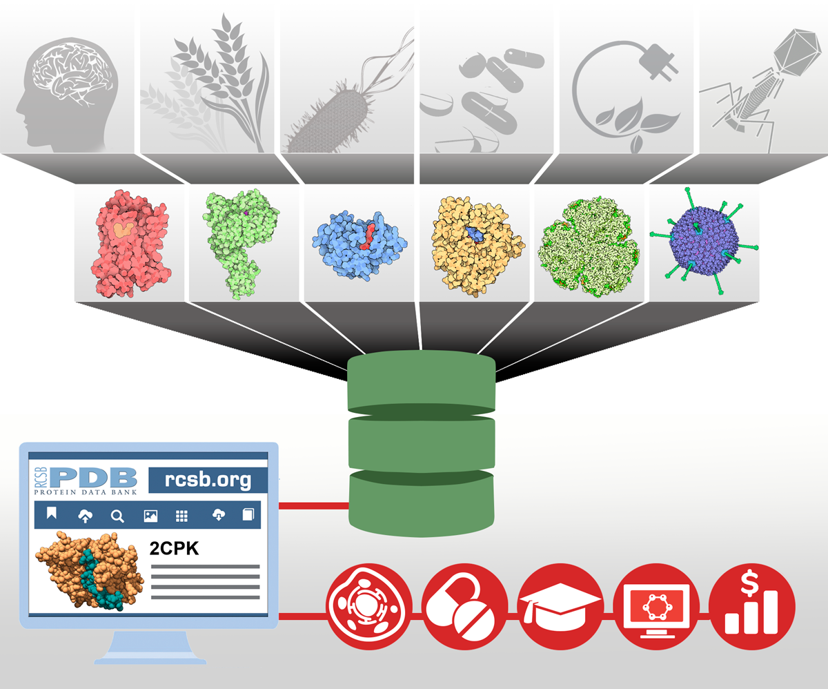 RCSB PDB: About RCSB PDB RCSB PDB: About RCSB PDB