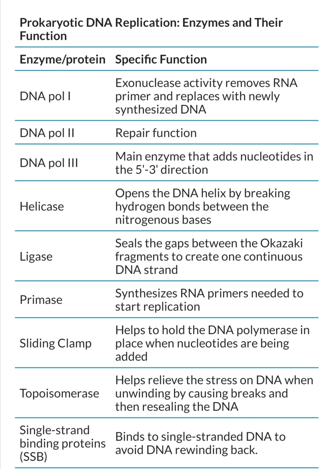 https://www.researchgate.net/post/How-many-types-of-DNA-polymerase-are-present-in-bacteria