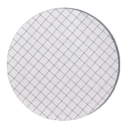 Gridded Membrane Filters
